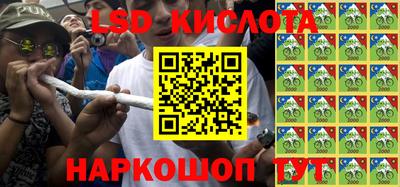 дмт Донской