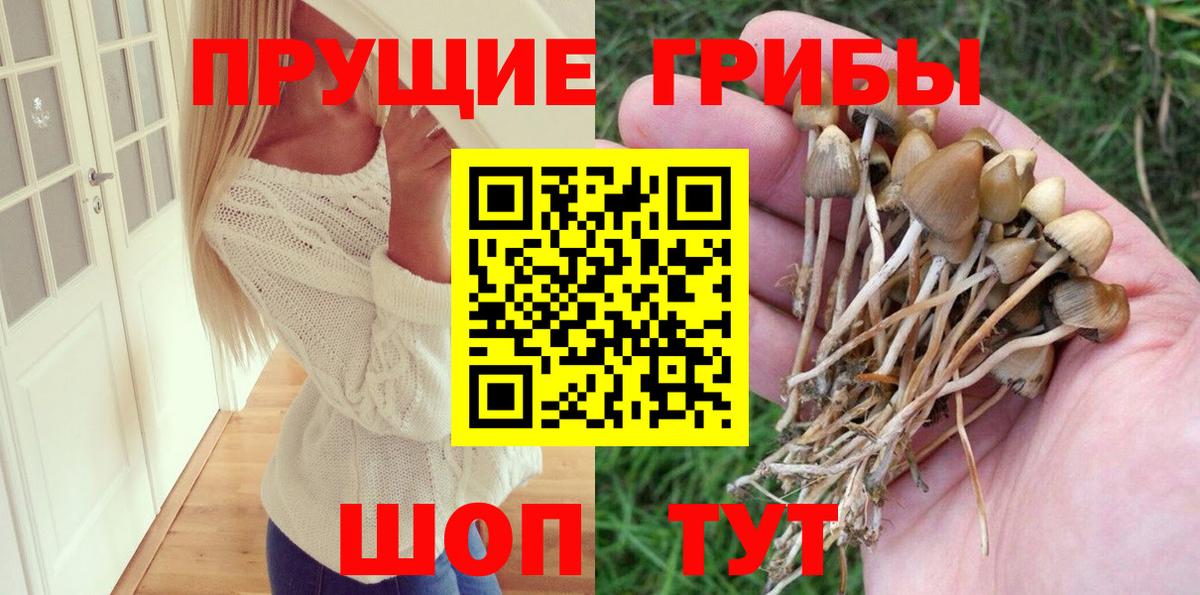 Галлюциногенные грибы Magic Shrooms  Галлюциногенные грибы прущие грибы  Удомля 