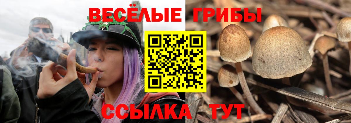 Галлюциногенные грибы Cubensis Удомля