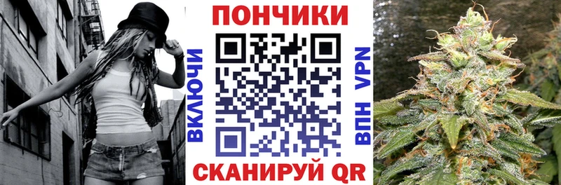 Конопля сатива  Удомля 